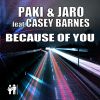 PAKI & JARO - Because of You (feat. Casey Barnes)